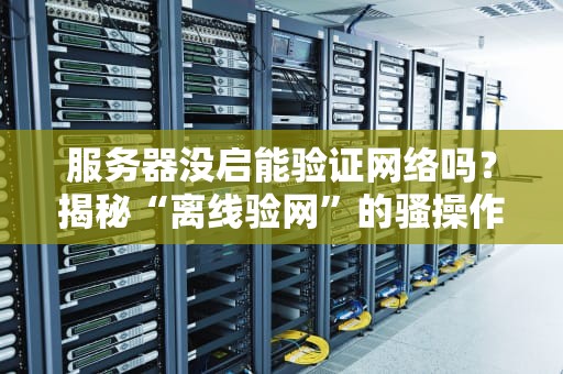 服务器没启能验证网络吗？揭秘“离线验网”的骚操作！
