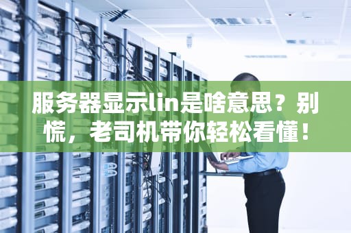 服务器显示lin是啥意思？别慌，老司机带你轻松看懂！