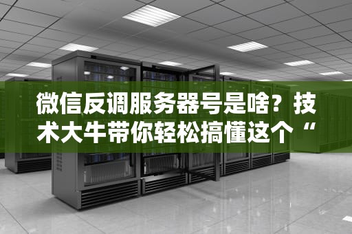 微信反调服务器号是啥？技术大牛带你轻松搞懂这个“神秘代码”！