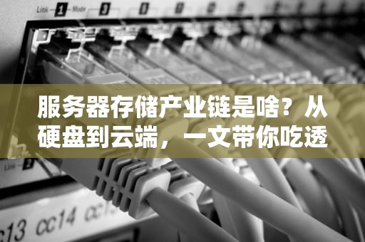 服务器存储产业链是啥？从硬盘到云端，一文带你吃透“数据仓库”的江湖！