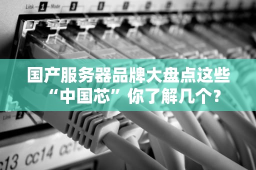 国产服务器品牌大盘点这些“中国芯”你了解几个？