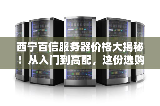 西宁百信服务器价格大揭秘！从入门到高配，这份选购指南让你不花冤枉钱
