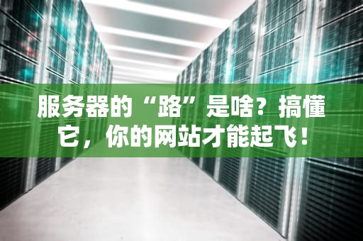 服务器的“路”是啥？搞懂它，你的网站才能起飞！
