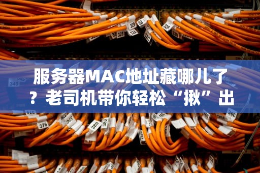 服务器MAC地址藏哪儿了？老司机带你轻松“揪”出它！
