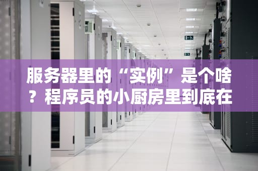 服务器里的“实例”是个啥？程序员的小厨房里到底在煮什么菜？