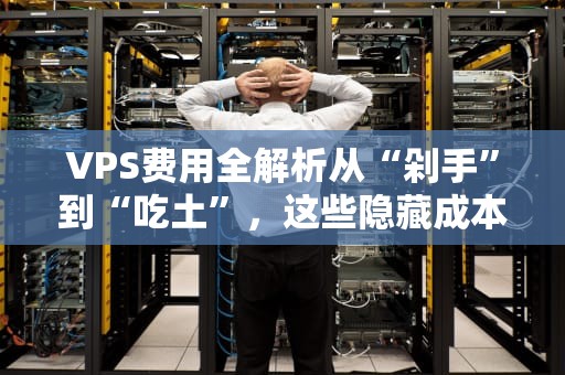 VPS费用全解析从“剁手”到“吃土”，这些隐藏成本你了解吗？