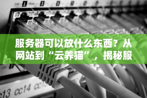 服务器可以放什么东西？从网站到“云养猫”，揭秘服务器的百变用途！