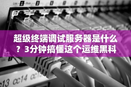 超级终端调试服务器是什么？3分钟搞懂这个运维黑科技！