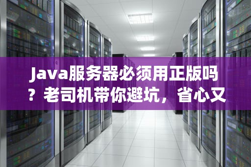 Java服务器必须用正版吗？老司机带你避坑，省心又省钱！