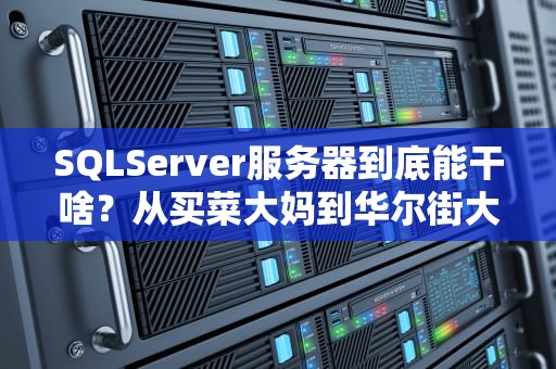SQLServer服务器到底能干啥？从买菜大妈到华尔街大佬都离不开的神器！