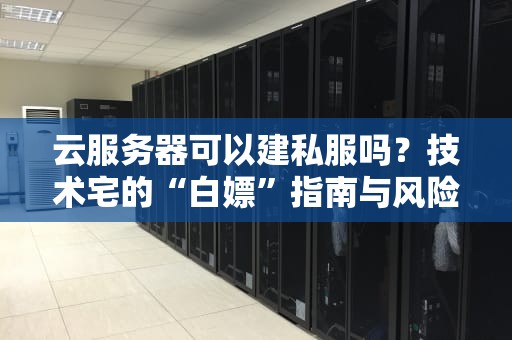 云服务器可以建私服吗？技术宅的“白嫖”指南与风险避坑！