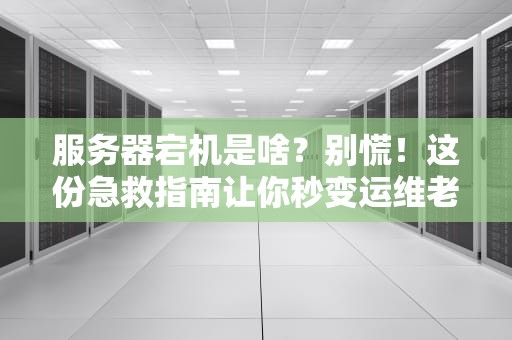 服务器宕机是啥？别慌！这份急救指南让你秒变运维老司机