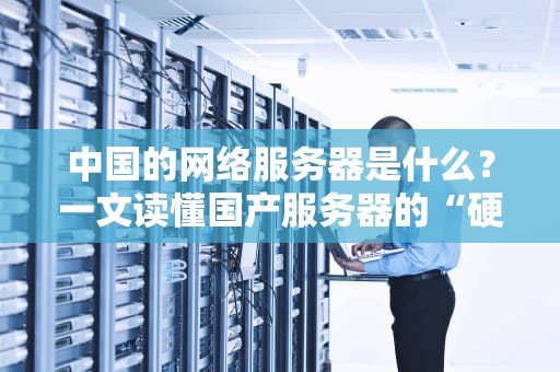 中国的网络服务器是什么？一文读懂国产服务器的“硬核”实力与趣味日常