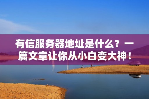 有信服务器地址是什么？一篇文章让你从小白变大神！