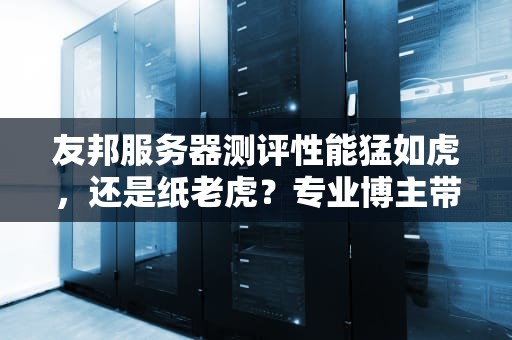 友邦服务器测评性能猛如虎，还是纸老虎？专业博主带你扒一扒内幕！