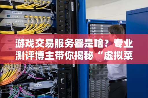 游戏交易服务器是啥？专业测评博主带你揭秘“虚拟菜市场”的运作内幕！