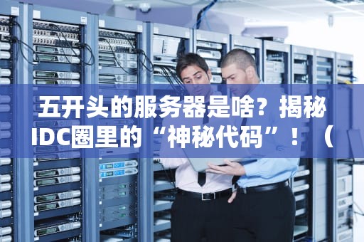 五开头的服务器是啥？揭秘IDC圈里的“神秘代码”！（附专业测评）