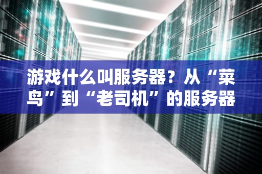 游戏什么叫服务器？从“菜鸟”到“老司机”的服务器科普指南！