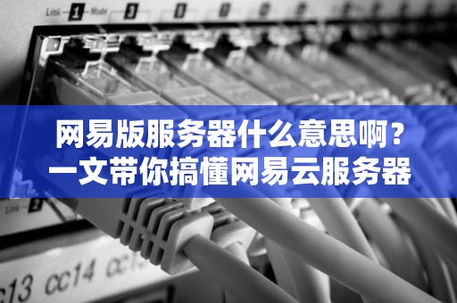 网易版服务器什么意思啊？一文带你搞懂网易云服务器的那些事儿！
