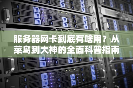 服务器网卡到底有啥用？从菜鸟到大神的全面科普指南！