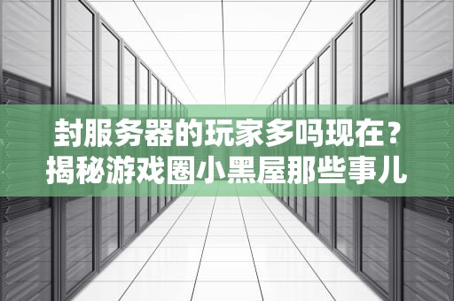封服务器的玩家多吗现在？揭秘游戏圈小黑屋那些事儿！
