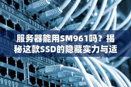 服务器能用SM961吗？揭秘这款SSD的隐藏实力与适用场景！