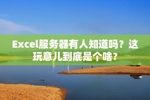 Excel服务器有人知道吗？这玩意儿到底是个啥？