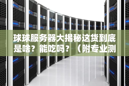 球球服务器大揭秘这货到底是啥？能吃吗？（附专业测评）