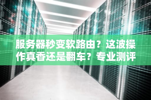 服务器秒变软路由？这波操作真香还是翻车？专业测评+避坑指南