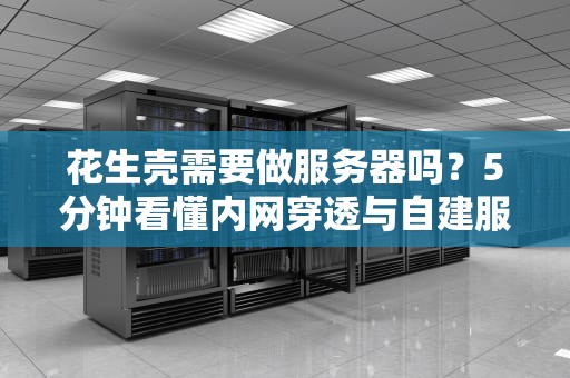 花生壳需要做服务器吗？5分钟看懂内网穿透与自建服务器的那些事儿！