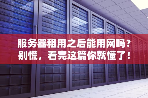 服务器租用之后能用网吗？别慌，看完这篇你就懂了！