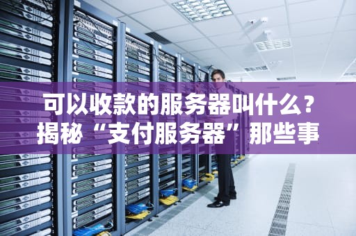 可以收款的服务器叫什么？揭秘“支付服务器”那些事儿，小白也能秒懂！