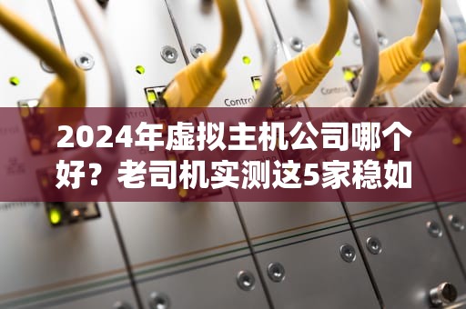 2024年虚拟主机公司哪个好？老司机实测这5家稳如老狗！
