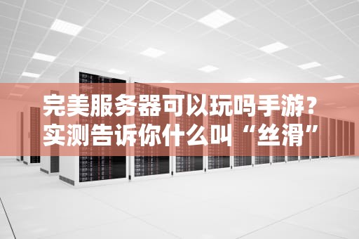 完美服务器可以玩吗手游？实测告诉你什么叫“丝滑”体验！