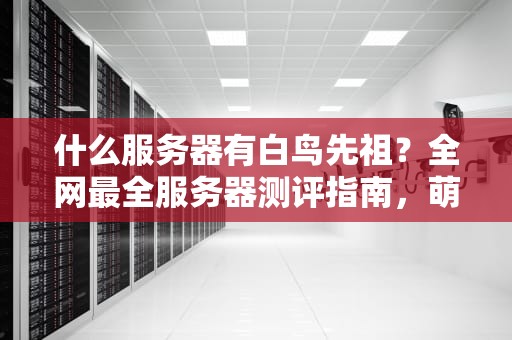 什么服务器有白鸟先祖？全网最全服务器测评指南，萌新必看！