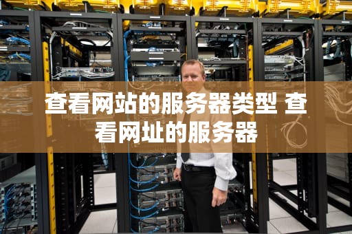 查看网站的服务器类型 查看网址的服务器