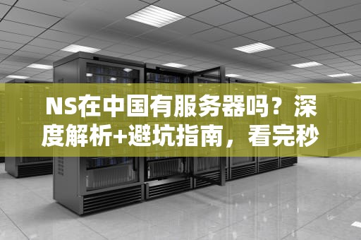 NS在中国有服务器吗？深度解析+避坑指南，看完秒懂！