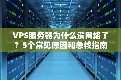 VPS服务器为什么没网络了？5个常见原因和急救指南（附专业测评）