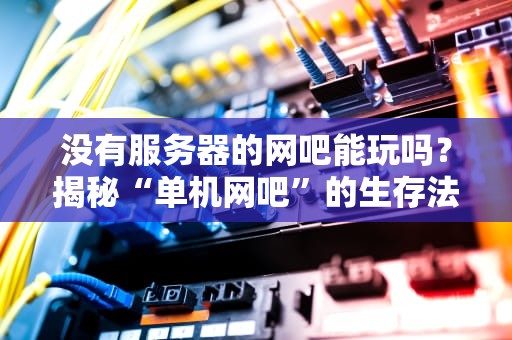 没有服务器的网吧能玩吗？揭秘“单机网吧”的生存法则！