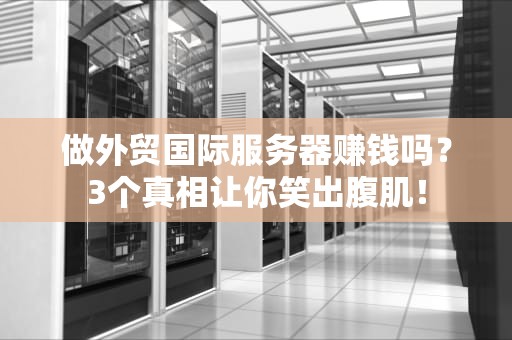 做外贸国际服务器赚钱吗？3个真相让你笑出腹肌！