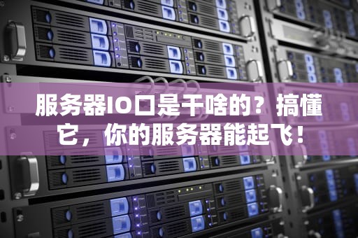 服务器IO口是干啥的？搞懂它，你的服务器能起飞！