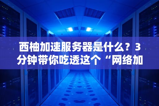 西柚加速服务器是什么？3分钟带你吃透这个“网络加速神器”！