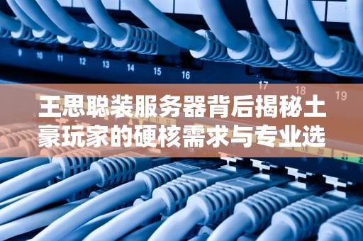 王思聪装服务器背后揭秘土豪玩家的硬核需求与专业选择