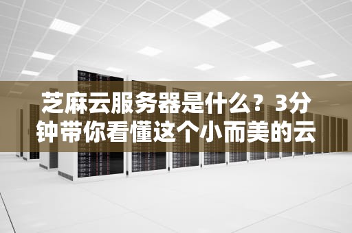 芝麻云服务器是什么？3分钟带你看懂这个小而美的云服务黑马！