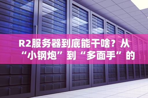 R2服务器到底能干啥？从“小钢炮”到“多面手”的硬核测评！