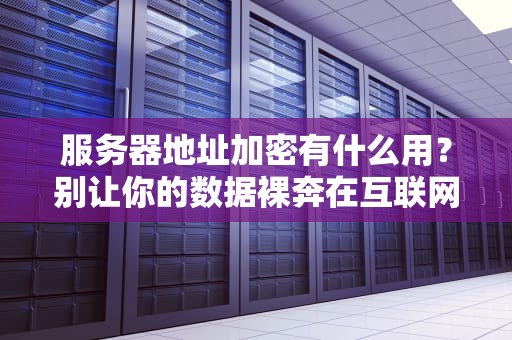 服务器地址加密有什么用？别让你的数据裸奔在互联网上！