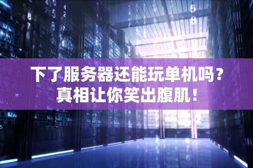 下了服务器还能玩单机吗？真相让你笑出腹肌！