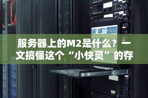 服务器上的M2是什么？一文搞懂这个“小快灵”的存储黑科技！