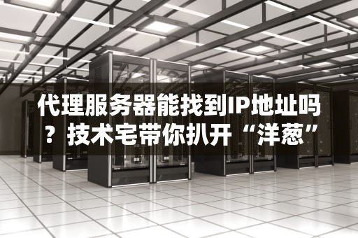 代理服务器能找到IP地址吗？技术宅带你扒开“洋葱”看真相！