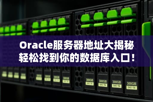 Oracle服务器地址大揭秘轻松找到你的数据库入口！